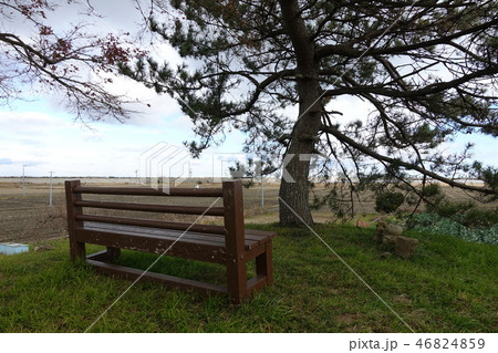 松ヶ島城（冬） 46824859