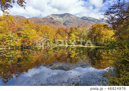 秋の白山国立公園・刈込池 46824976