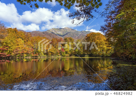 秋の白山国立公園・刈込池 46824982