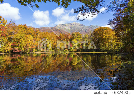 秋の白山国立公園・刈込池 秋の白山国立公園・刈込池 46824989