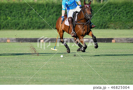Polo Horse Player Riding To Control The Ball. Polo Horse Player Riding To Control The Ball. 46825004