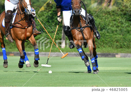 Polo Player protect a polo ball. Polo Player protect a polo ball. 46825005