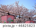 花見の季節 46825823