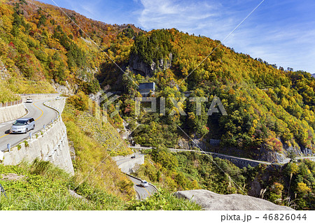 紅葉の白山白川郷ホワイトロード・国見展望台からの眺め 46826044