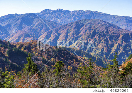 白山白川郷ホワイトロードからの山歩き・ふくべ谷上園地展望台付近から望む白山 白山白川郷ホワイトロードからの山歩き・ふくべ谷上園地展望台付近から望む白山 46826062