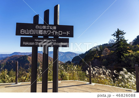 紅葉の白山白川郷ホワイトロード・三方岩駐車場 紅葉の白山白川郷ホワイトロード・三方岩駐車場 46826088