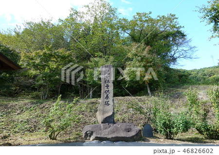 鬼女紅葉供養塔 鬼女紅葉供養塔 46826602