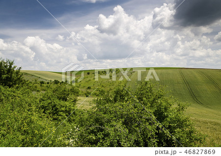 Dramatic Blue Sky, Meadow and a tree 46827869