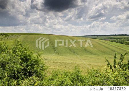 Dramatic Blue Sky, Meadow and a tree Dramatic Blue Sky, Meadow and a tree 46827870