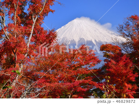 岩本山公園からの風景-4659 岩本山公園からの風景-4659 46829872