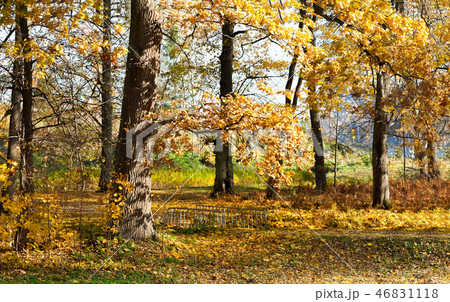 Monrepos Park in Vyborg in the Indian summer. 46831118