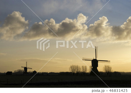 Windmill the Zandwijkse windmolen Windmill the Zandwijkse windmolen 46831425
