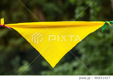 Yellow flag from a garland in the park 46831427