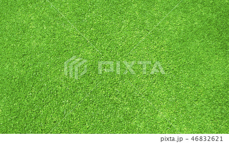 Green grass background 46832621