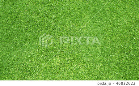 Green grass background Green grass background 46832622