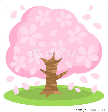 桜 桜 46832844
