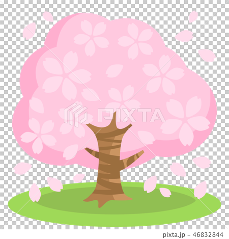 桜 桜 46832844