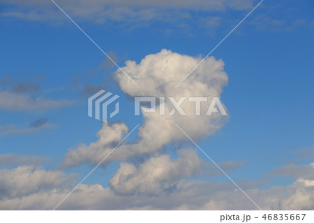 冬空と雲 46835667