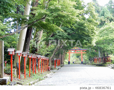 日吉大社 山王鳥居 日吉大社 山王鳥居 46836761