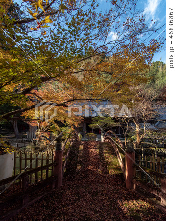 大澤寺の紅葉 大澤寺の紅葉 46836867