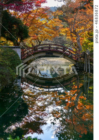大澤寺の紅葉 大澤寺の紅葉 46836872