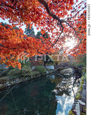 大澤寺の紅葉 46836885