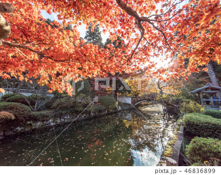 大澤寺の紅葉 大澤寺の紅葉 46836899