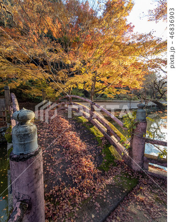 大澤寺の紅葉 46836903