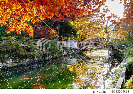 大澤寺の紅葉 大澤寺の紅葉 46836913