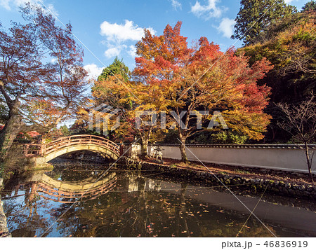 大澤寺の紅葉 46836919