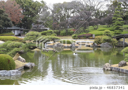 こしがや能楽堂＆日本庭園花田苑　 46837341
