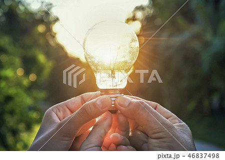 concept idea solar energy in nature  46837498