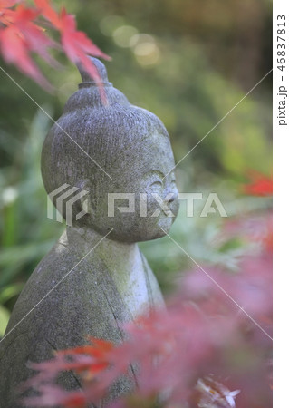 薬師寺　観音様　東京都足立区伊興 46837813