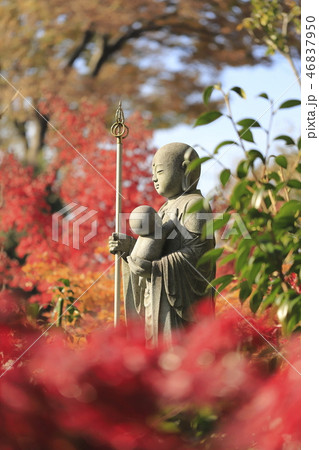 薬師寺 母子観音 東京都足立区伊興 薬師寺 母子観音 東京都足立区伊興 46837950