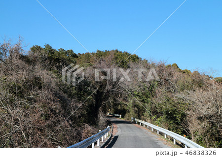 林道音信山（おとずれやま）線 46838326