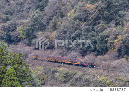 嵯峨野トロッコ列車 嵯峨野トロッコ列車 46838787