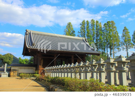 法然寺 法然寺 46839035