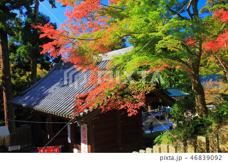 四国霊場　白峯寺　紅葉 46839092