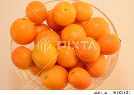 キンカン 46839386
