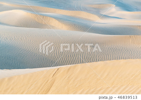 Beautiful sand dune in Thar desert. 46839513
