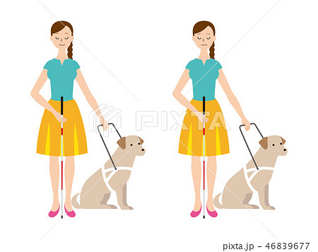 Blind Woman And Guide Dog Stock Illustration