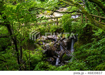 箱根、飛竜の滝 46839837