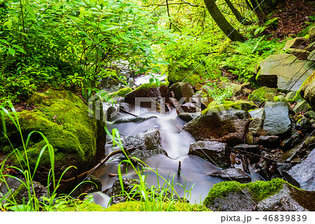 箱根、飛竜の滝 46839839