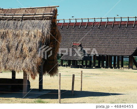 池上曽根史跡公園　和泉　大阪 46840455