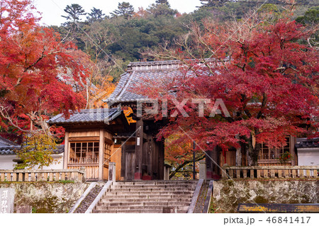 修禅寺山門の紅葉 修禅寺山門の紅葉 46841417