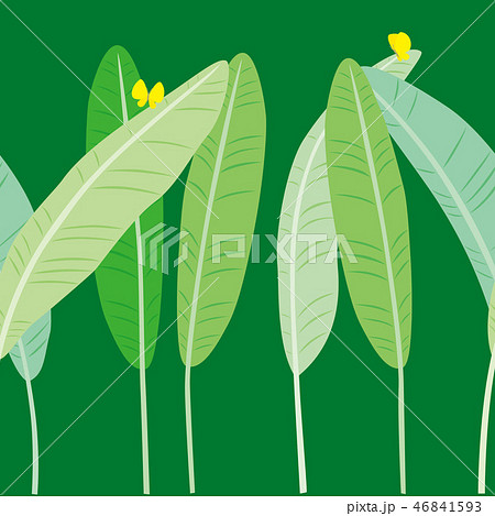 パターン 芭蕉と蝶 緑色 46841593