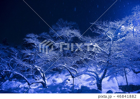 雪の鶴ヶ城公園 雪の鶴ヶ城公園 46841882