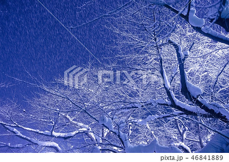 雪の鶴ヶ城公園 雪の鶴ヶ城公園 46841889