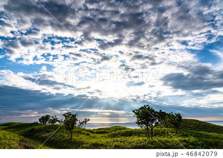 《北海道》夏の知床・大自然 《北海道》夏の知床・大自然 46842079