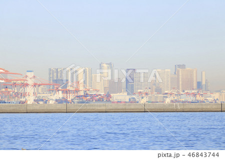 城南島海浜公園 46843744
